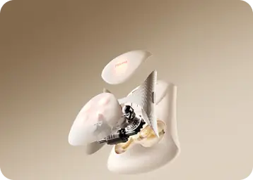 6D Deep-Kneading Technology