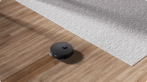 Can Robot Vacuum Clean Carpets?