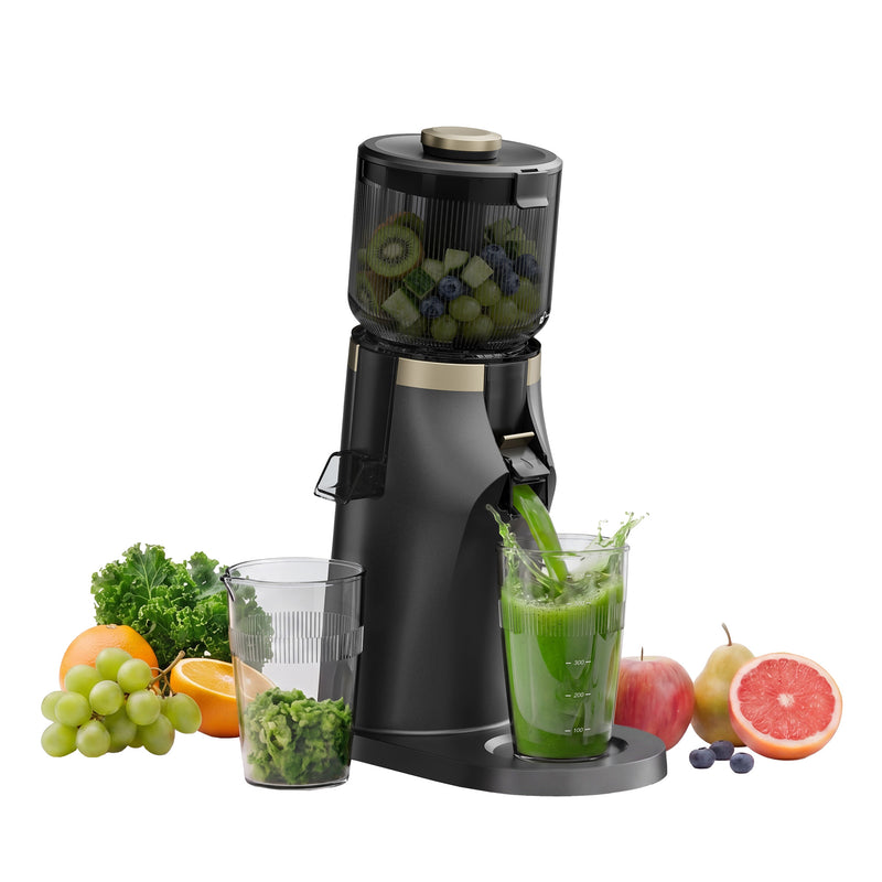 Dreame SJ30 Slow Juicer