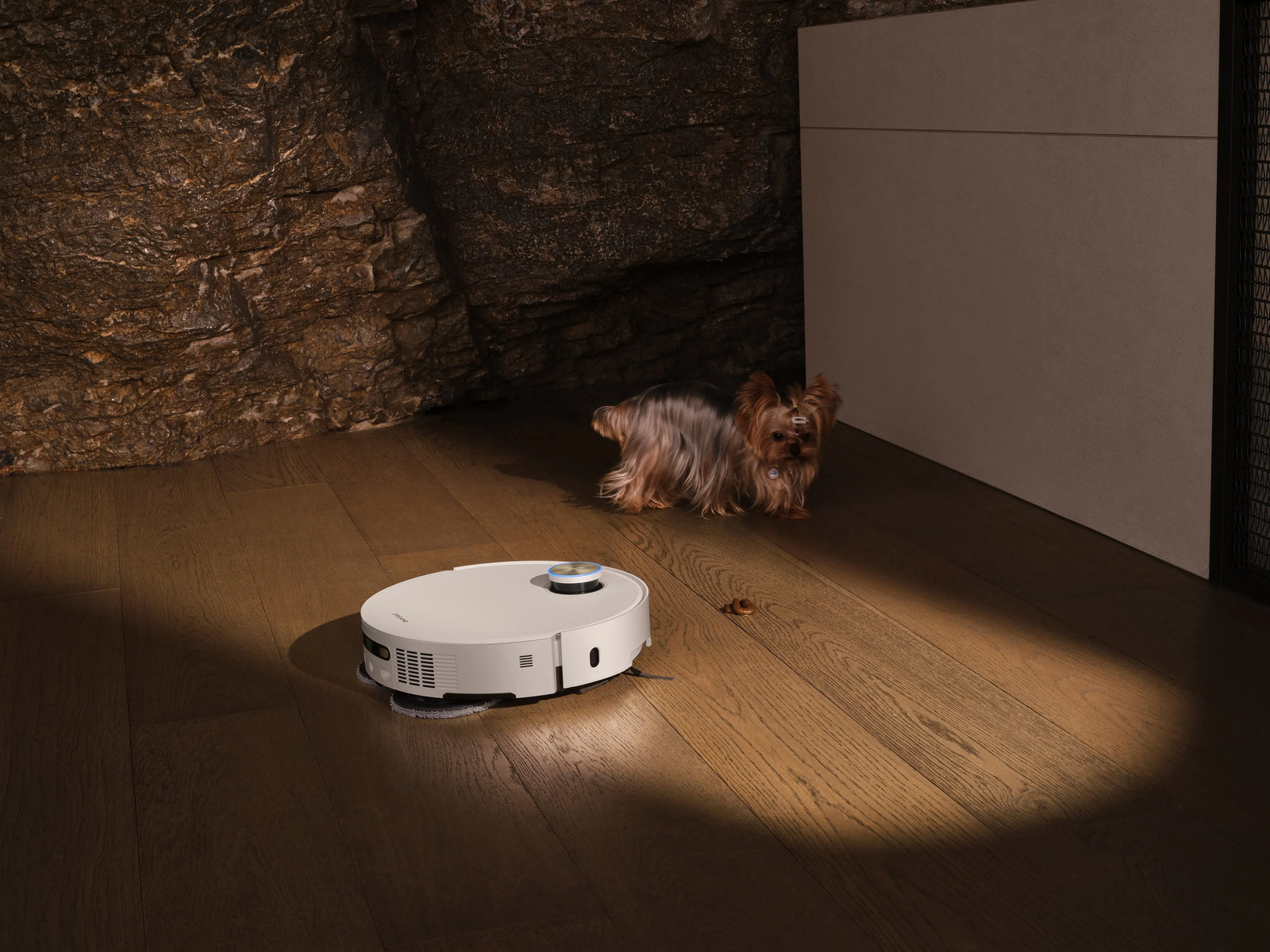 Robot vacuum detecting and avoiding pet waste on the floor