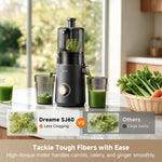 Load image into Gallery viewer, Dreame SJ60 Slow Juicer

