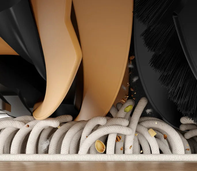 Carpet Brush