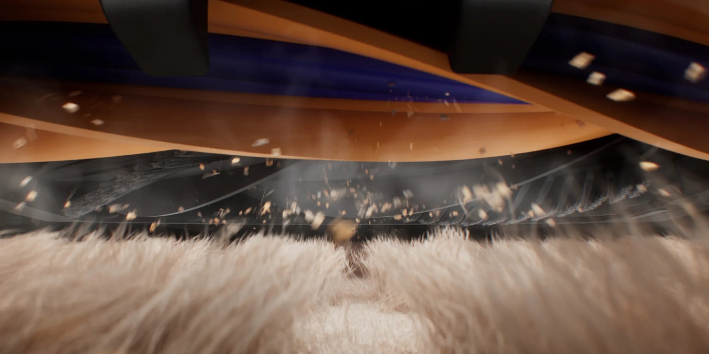 Carpet Brush