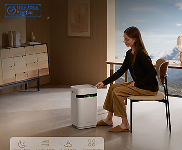 H40 Humidifier