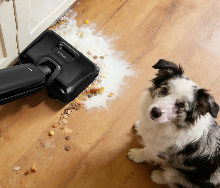 Deep Clean with 25,000 Pa Powerful Suction