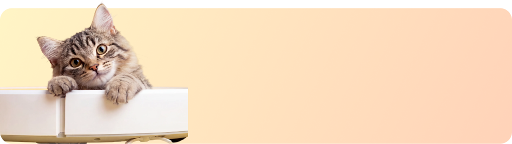 Forum Share &amp; Win