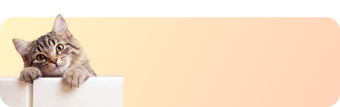 Forum Share &amp; Win
