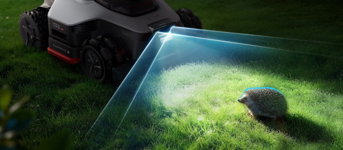 300+ Obstacle Avoidance