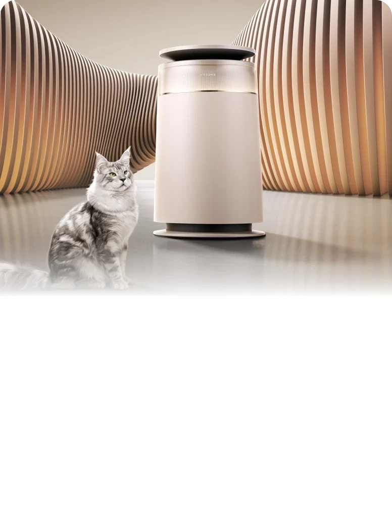FP10 Air Purifier