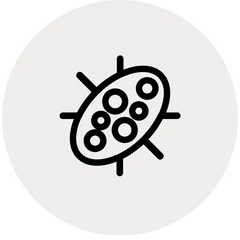 Shop Air Purifiers for Mold