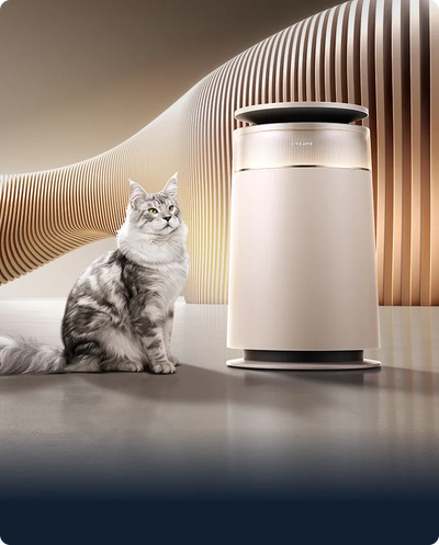 FP10 Air Purifier
