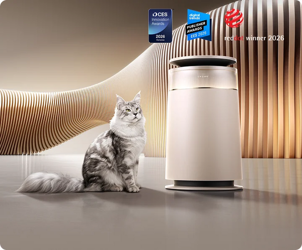 FP10 Air Purifier