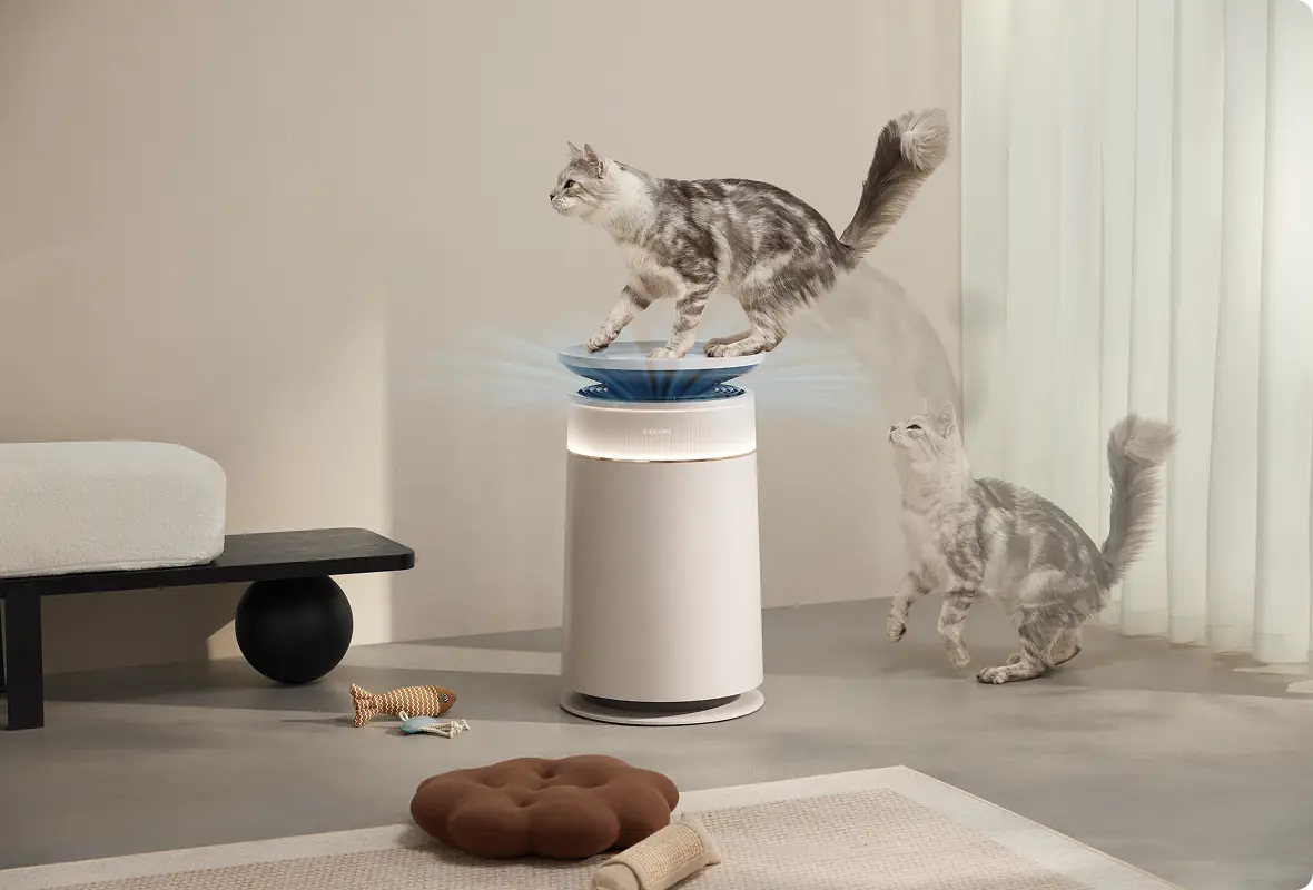 FP10 Air Purifier