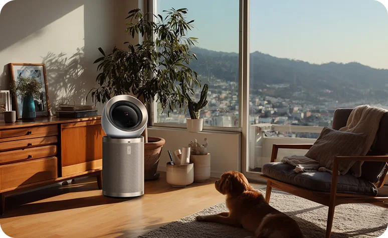 Where to Place an Air Purifier in Your Home