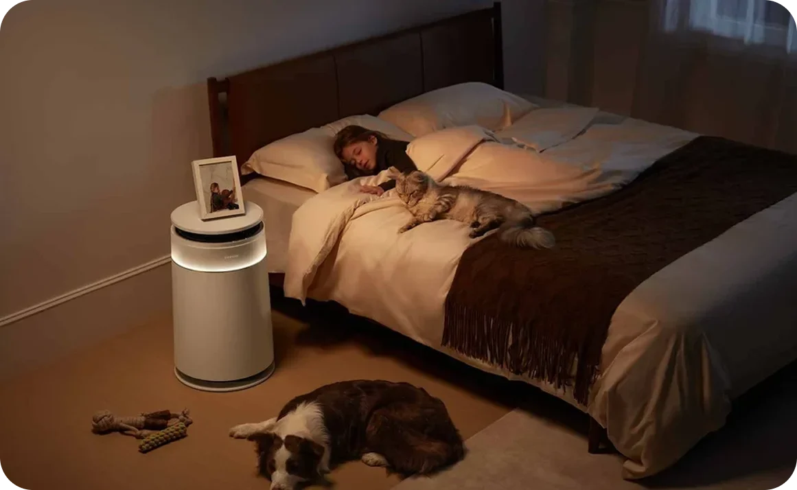 How to Choose an Air Purifier For Your Home