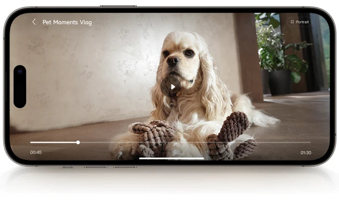 Automatic Pet Vlog Generation