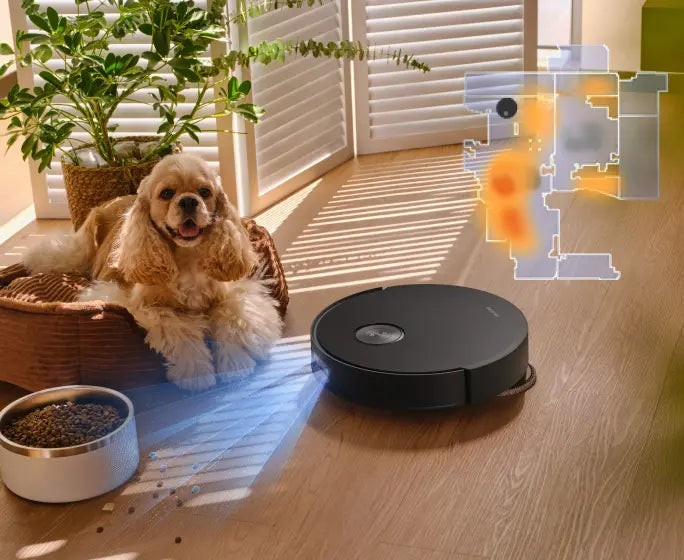 In-Depth Pet-Friendly Care
Tailored Cleaning for Homes With Pets