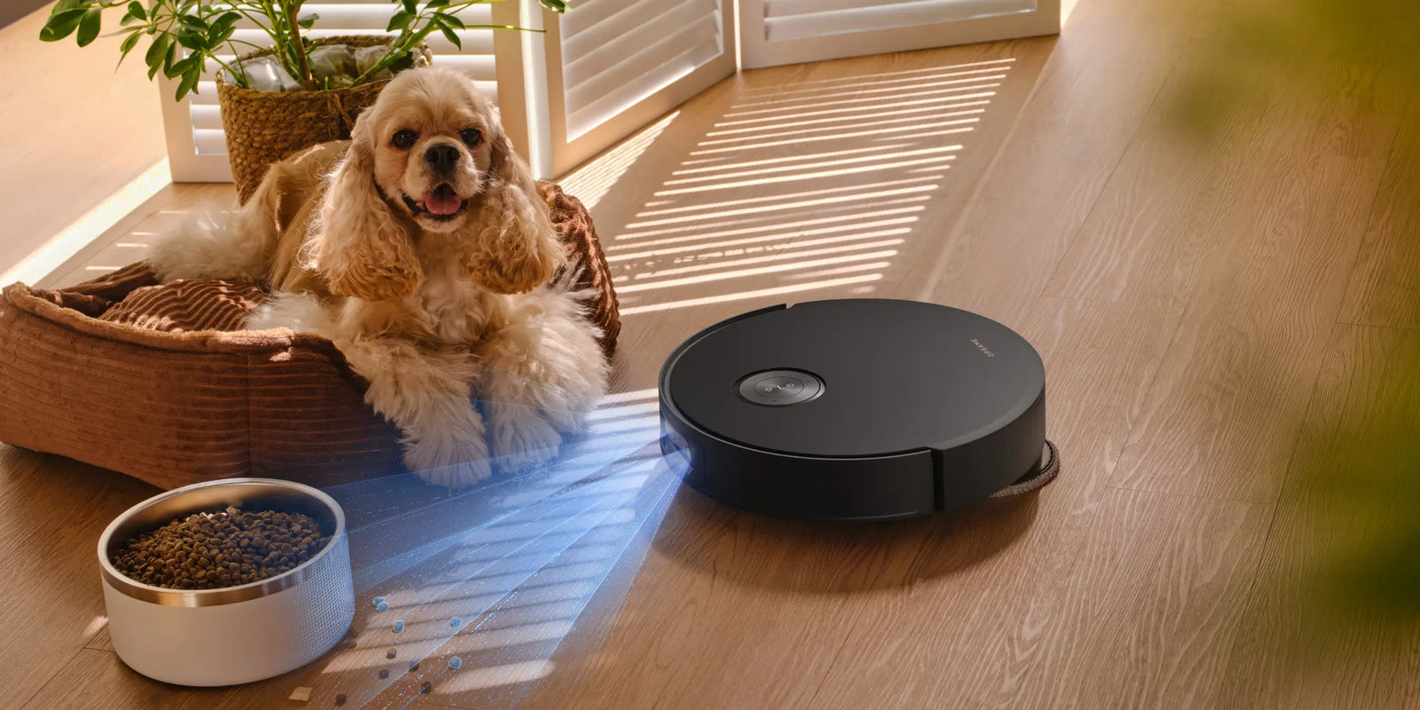 In-Depth Pet-Friendly Care
Tailored Cleaning for Homes With Pets