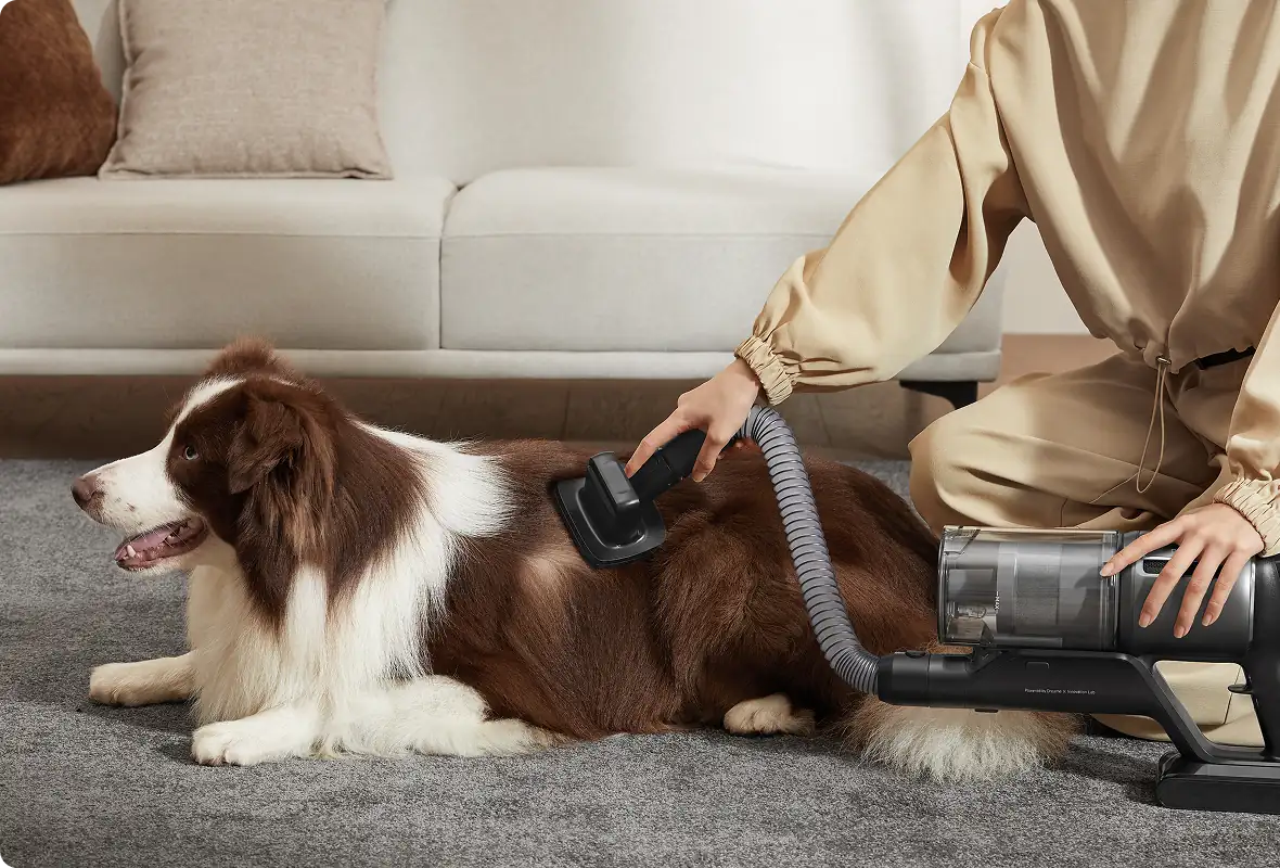 Cordless stick vacuum Z30