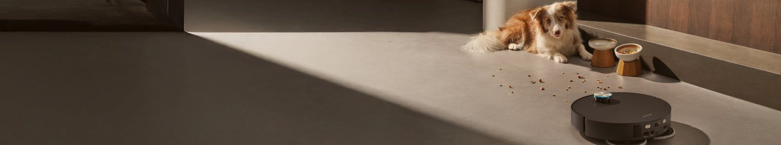 
    Fresh Floors, Happy Pets
    Wave goodbye to pet fur, dander, and tracked-in dirt.
