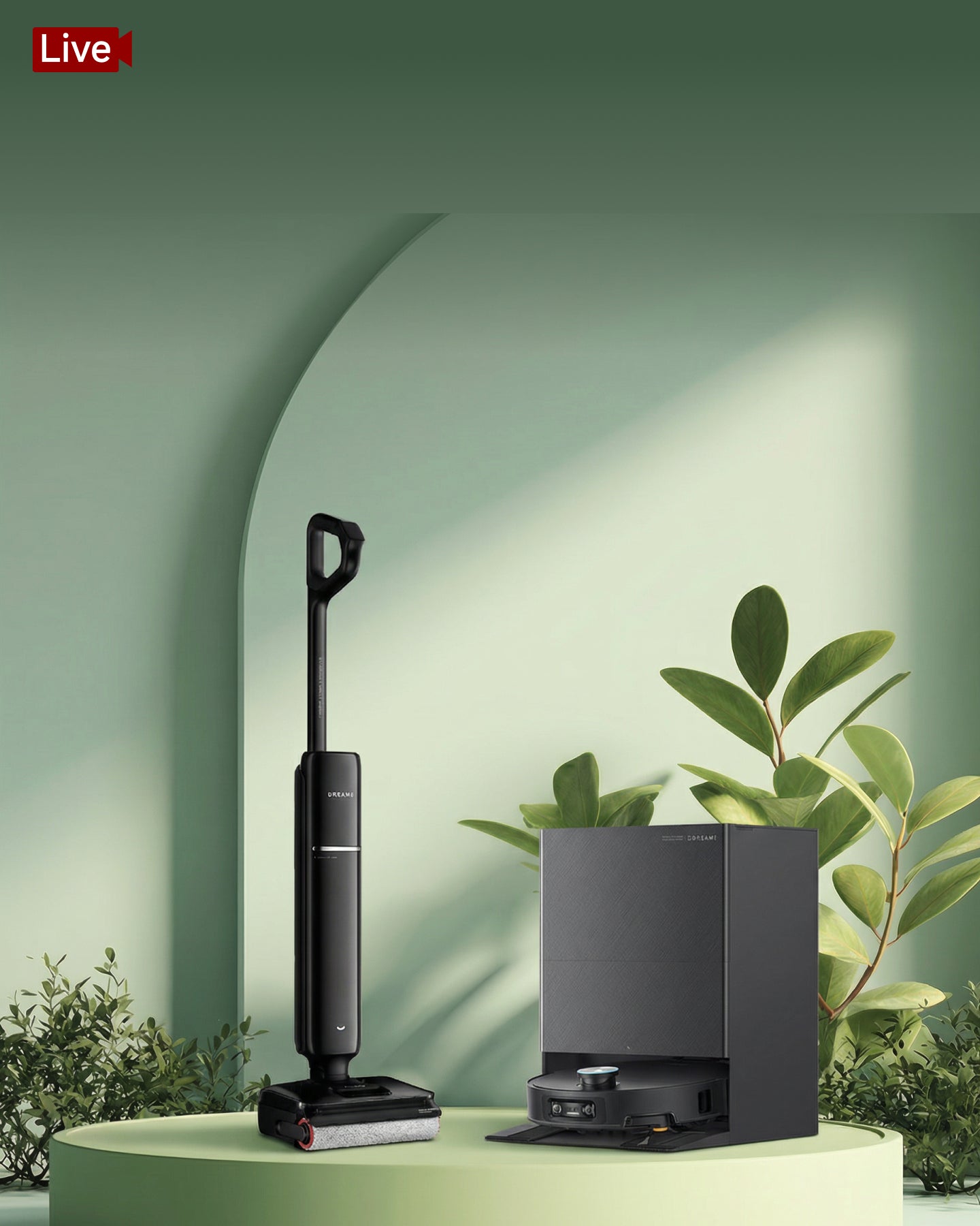 Dreame Spring Live Exclusive