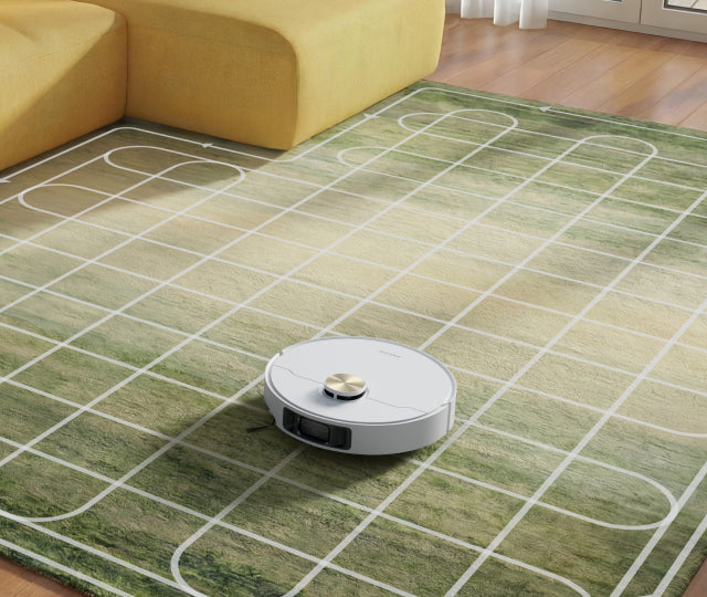 Intense Carpet Cleaning