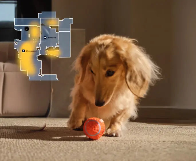 Pet Activity Hotspots
Our smart robot vacuum learns high-activity areas, delivering targeted cleaning where it's needed most for a fresher, healthier home tailored to your pet's life.