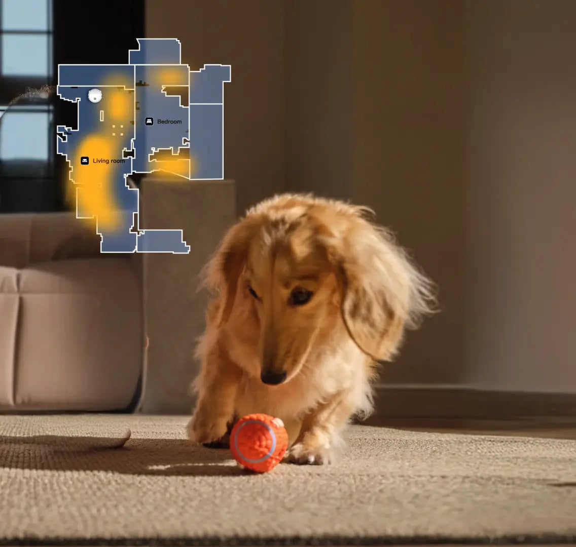 Pet Activity Hotspots
Our smart robot vacuum learns high-activity areas, delivering targeted cleaning where it's needed most for a fresher, healthier home tailored to your pet's life.