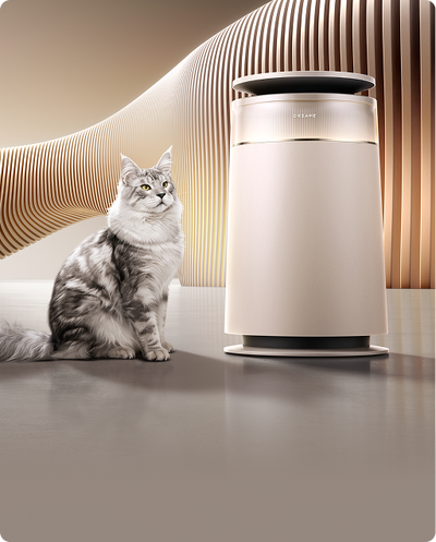 FP10 Air Purifier
