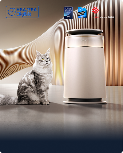 FP10 Air Purifier
