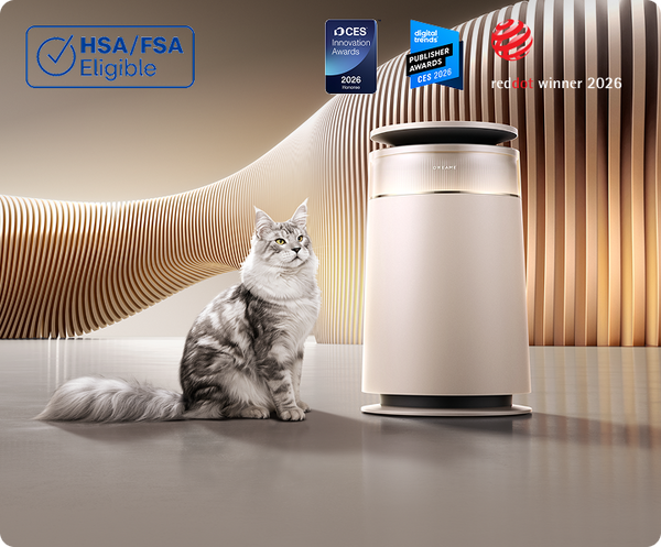 FP10 Air Purifier