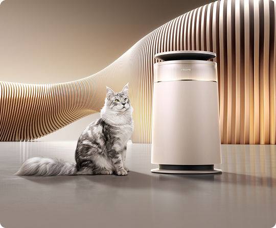 FP10 Air Purifier
